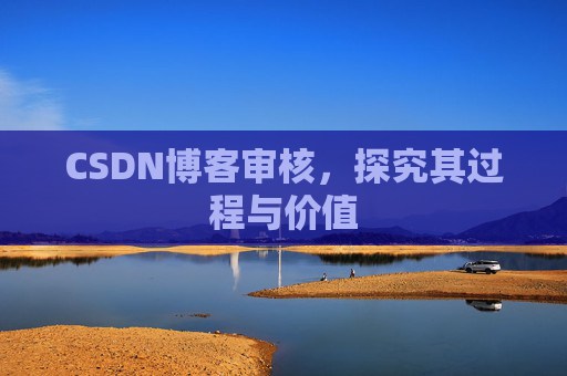 CSDN博客审核，探究其过程与价值